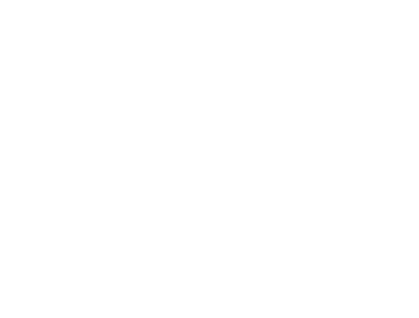 DIS logo-1